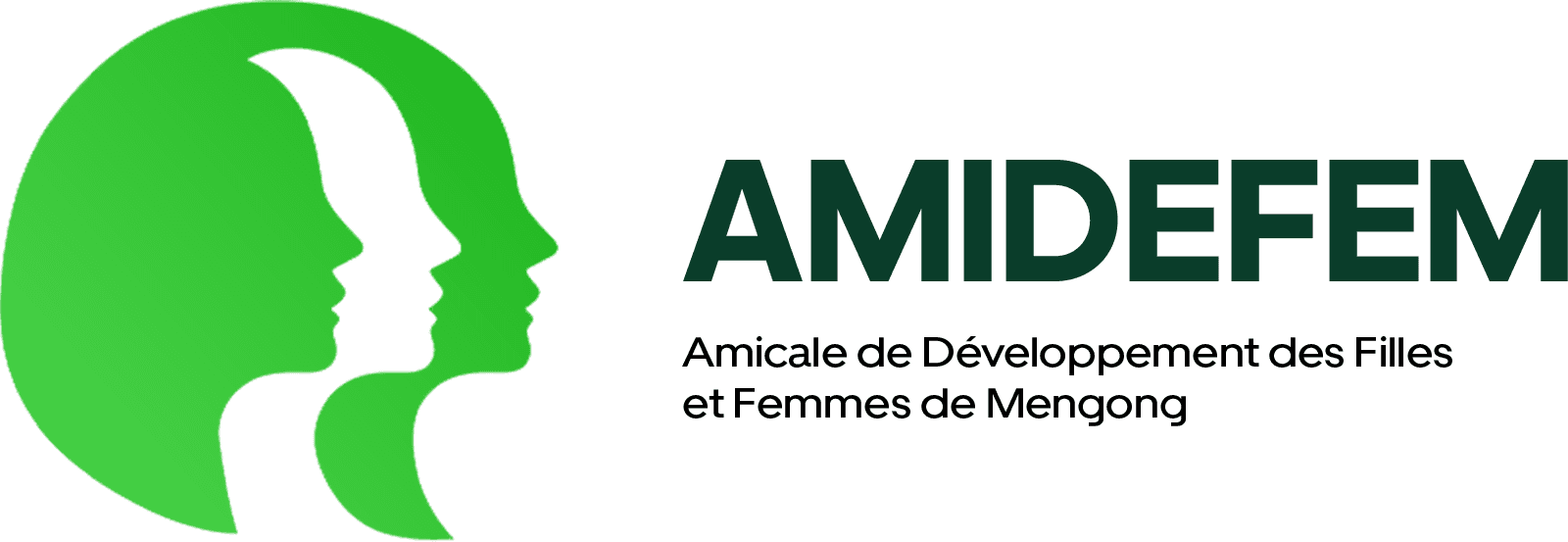 AMIDEFEM — Amicale de Développement des Filles et Femmes de Mengong